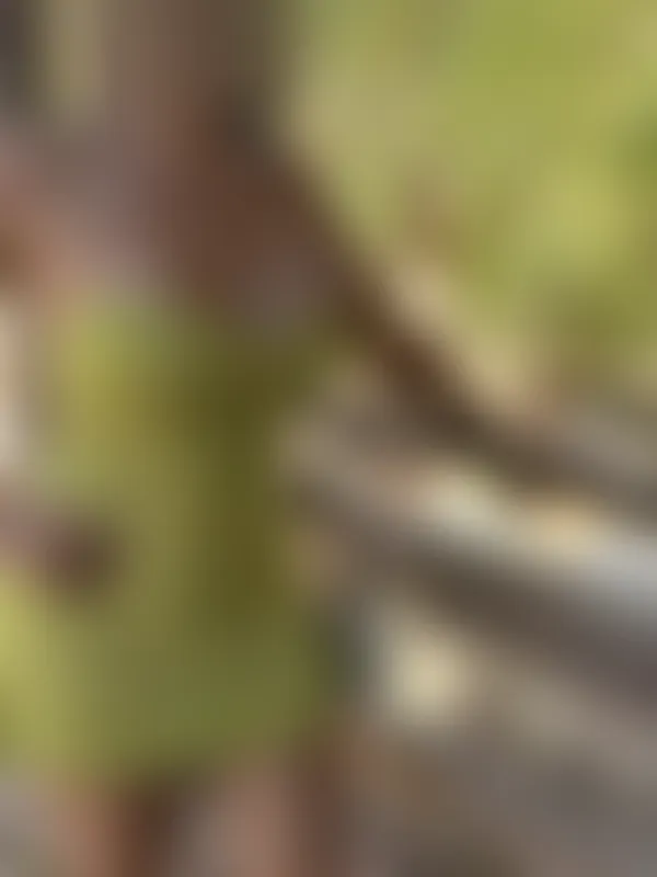 Steve, 42 y/o, Toronto